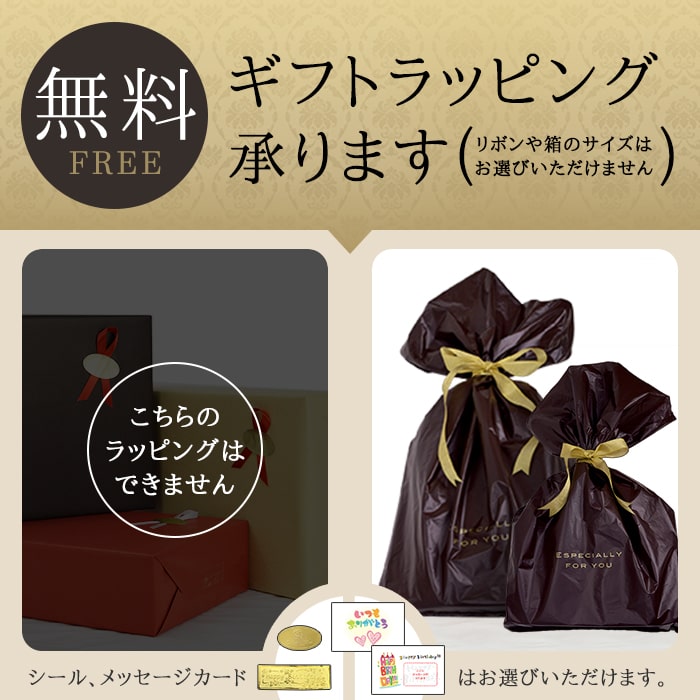 ボストンバッグ ダレスバッグ 日本製 豊岡製鞄 メンズ レディース 口枠 レトロ 観光 旅行 2泊 3泊 ANDYHAWARD 10422
